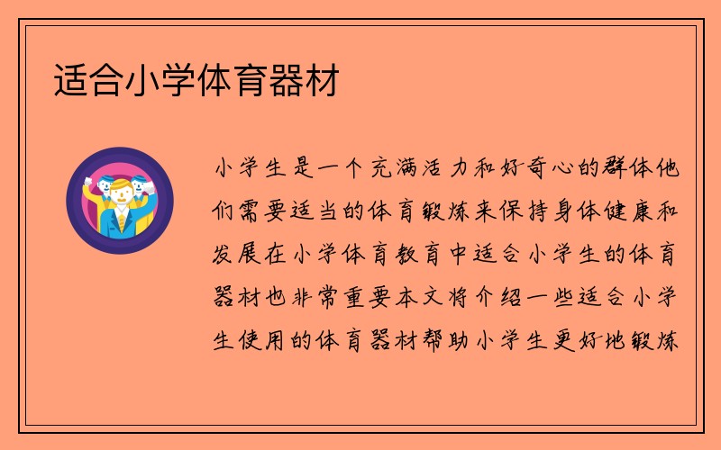 适合小学体育器材