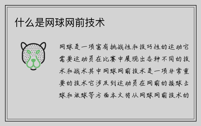 什么是网球网前技术