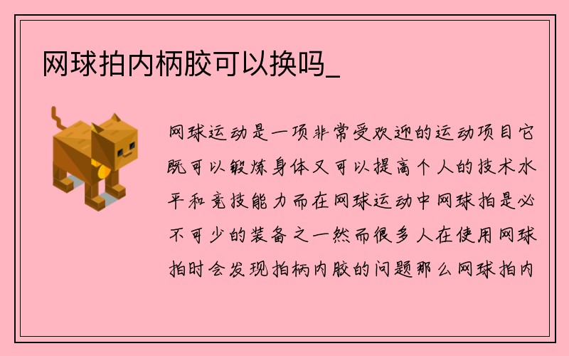 网球拍内柄胶可以换吗_