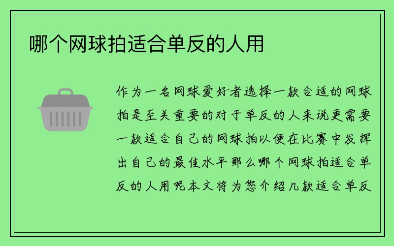 哪个网球拍适合单反的人用