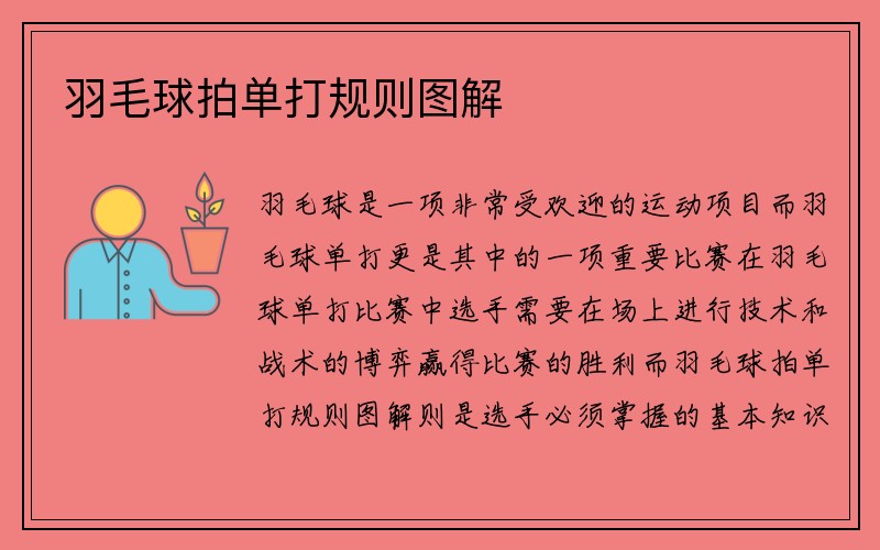 羽毛球拍单打规则图解