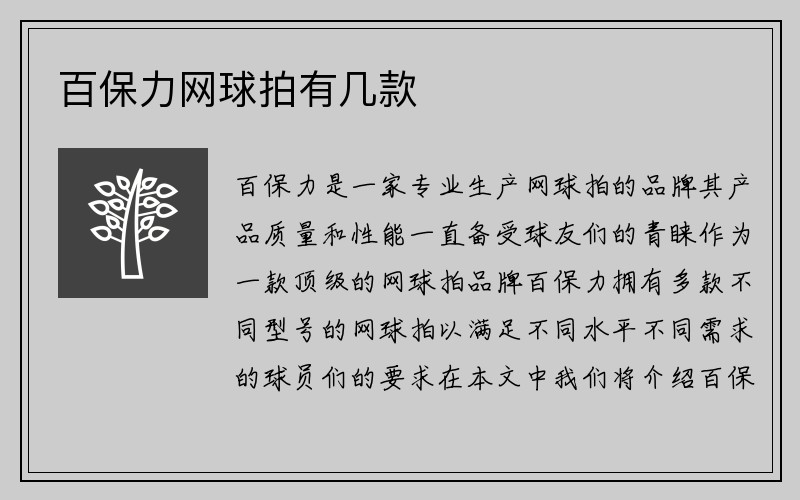 百保力网球拍有几款